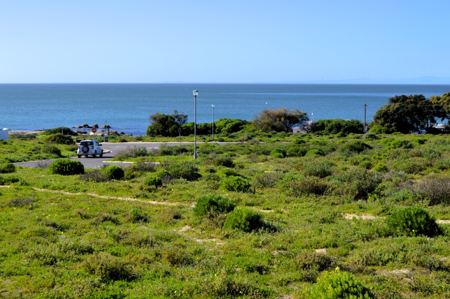 0 Bedroom Property for Sale in Steenbergs Cove Western Cape
